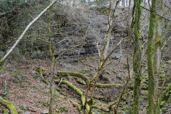 Lascarn Quarry, Northern face, March 2009
